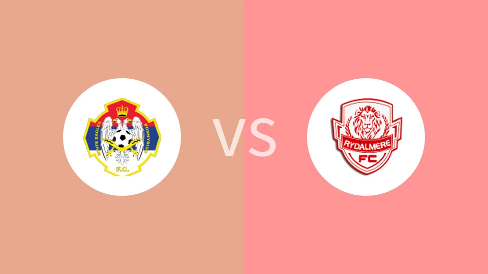 保尼白鹰U20vs莱德米尔狮子U20