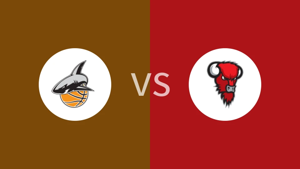 UU科里海特vs野牛比分预测分析 2025/12/31