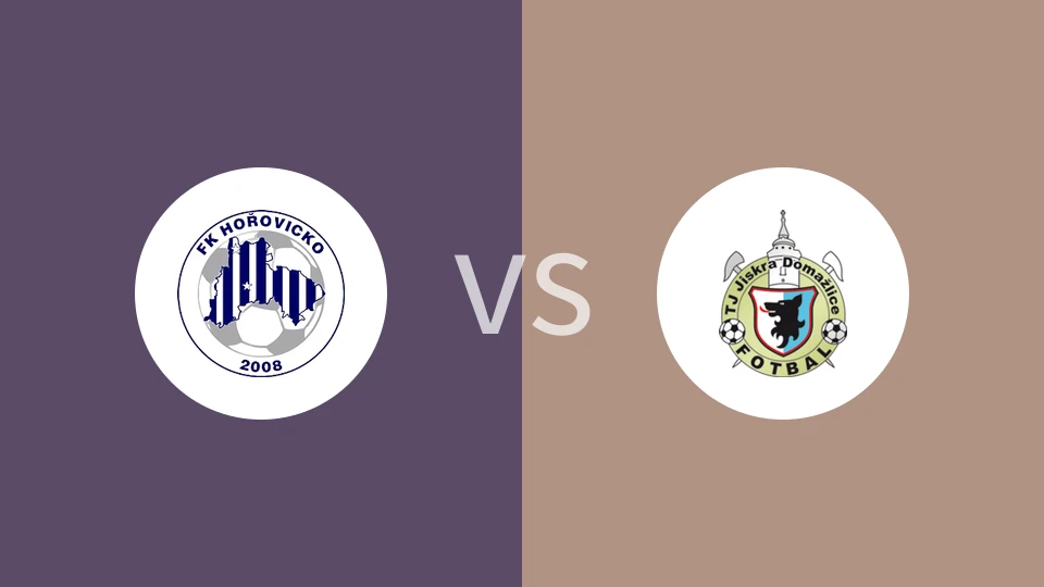 霍洛维科vs多马兹利克B队比分预测分析 2025/03/29