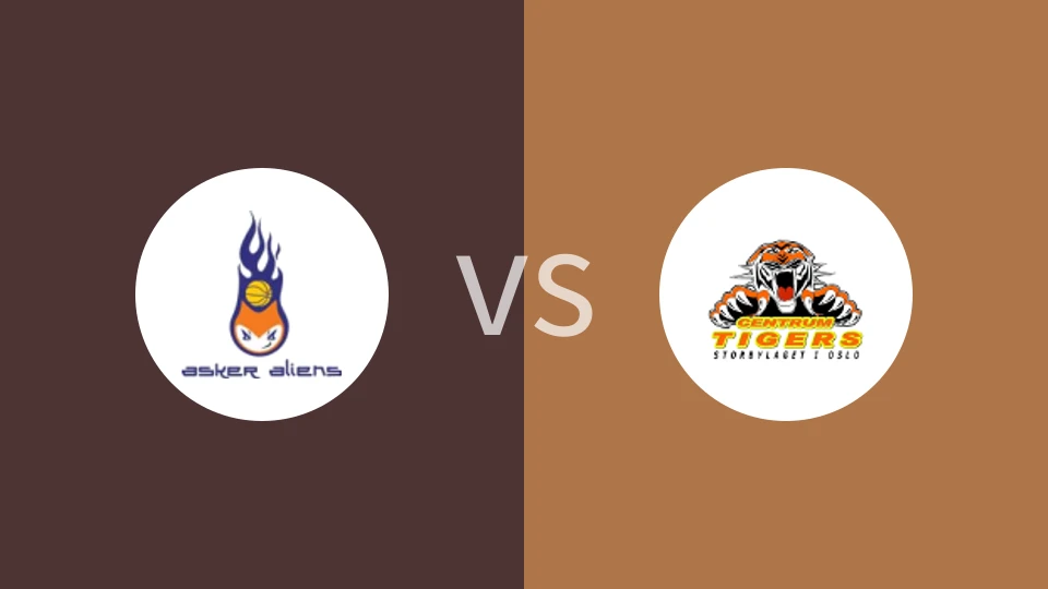 阿斯克外侨vs辛卓老虎比分预测分析 2024/11/07