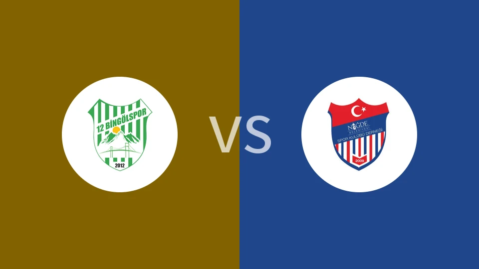 宾高尔vs尼格德比分预测分析 2025/12/06