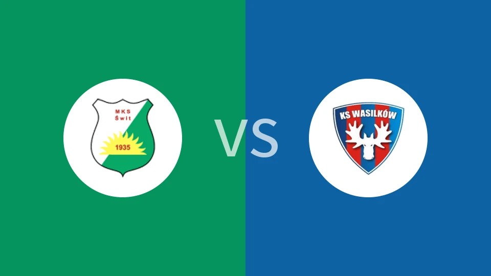 斯维特vs瓦西里科夫比分预测分析 2025/11/22