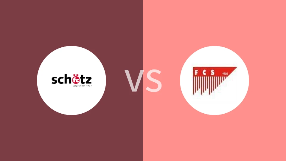 史克奇vs索洛图恩