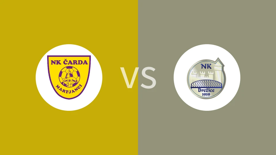 【斯亚丙】马特卡德vs布雷日采