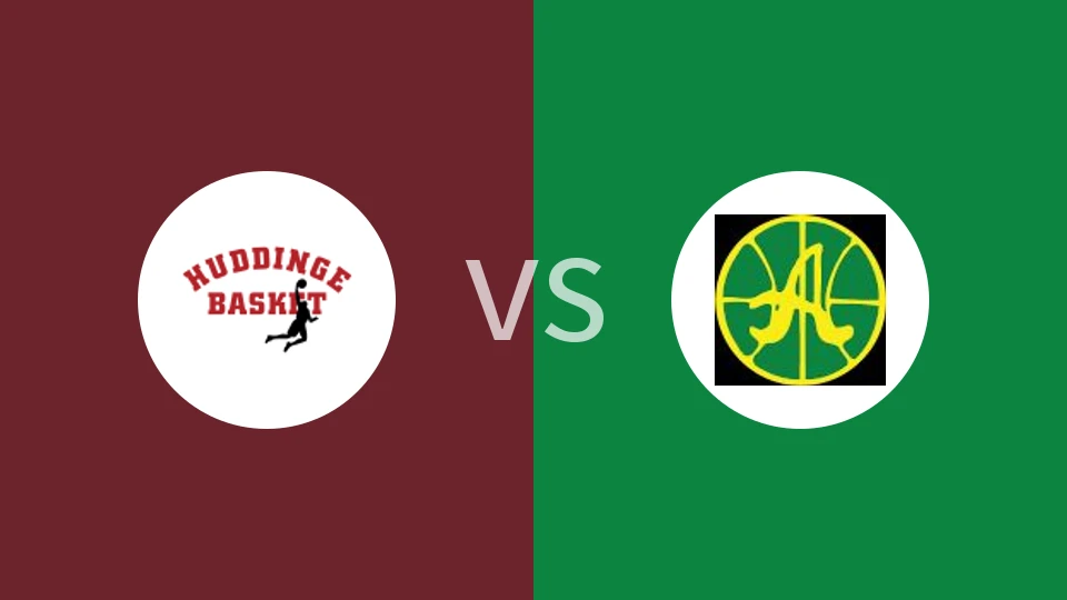 哈丁格vs艾维克比分预测分析 2025/12/11