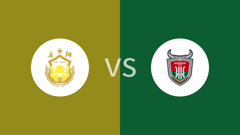 岳阳队vs湘西队回放录像 2025/11/02