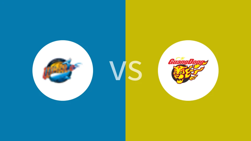 四川丰谷酒业vs广东东阳光比分预测分析 2024/12/01