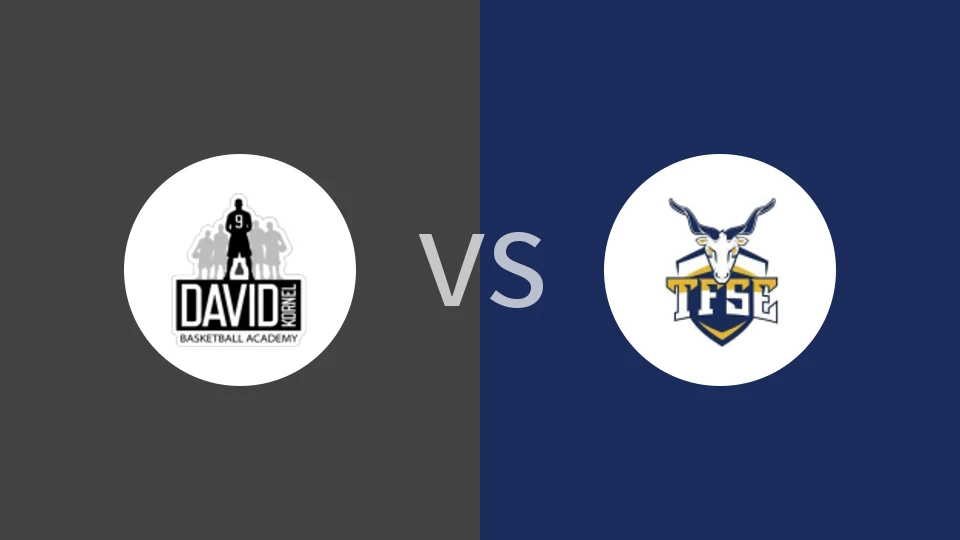 大卫科内尔女篮vsMTK匈格利亚女篮比分预测分析 2025/12/04