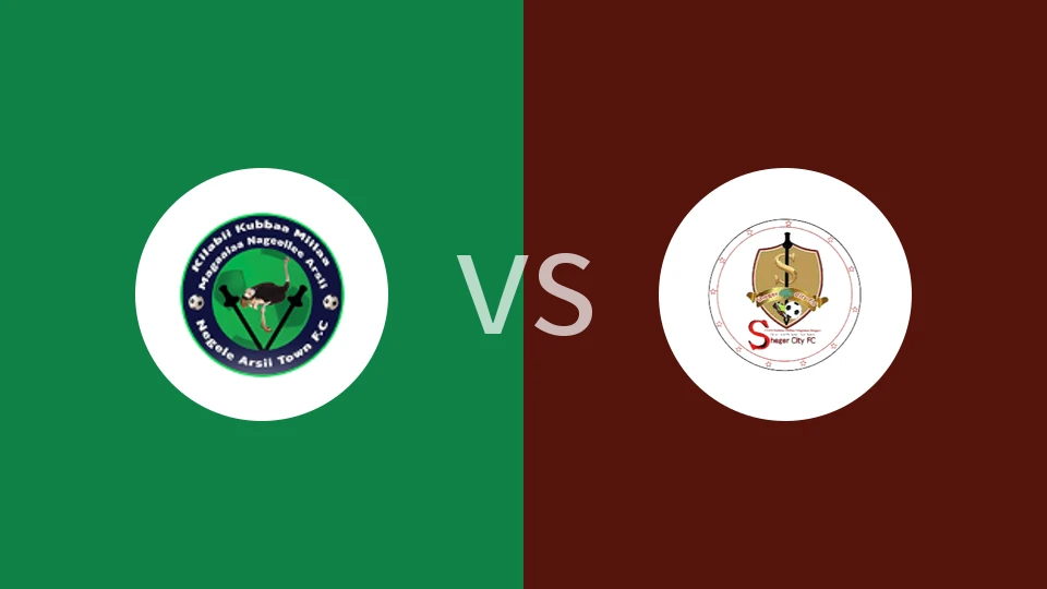 内格莱阿西vs谢格尔凯特马比分预测分析 2025/12/03