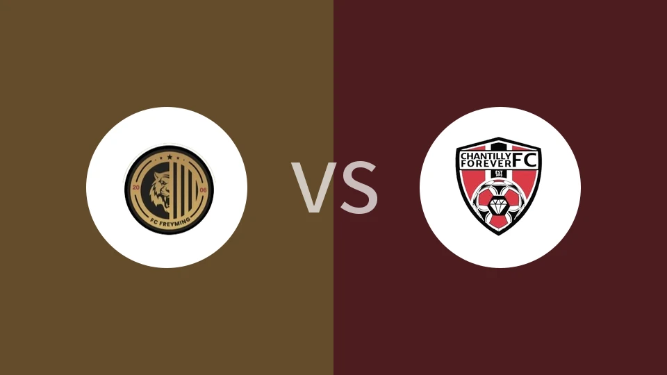 弗赖明vs查迪利比分预测分析 2025/12/20