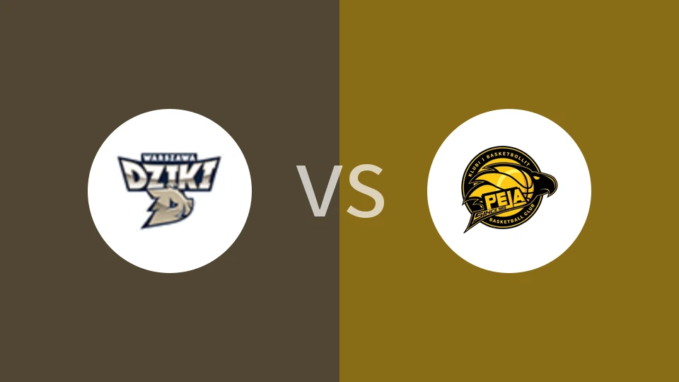 华斯基vs比加比分预测分析 2025/11/19