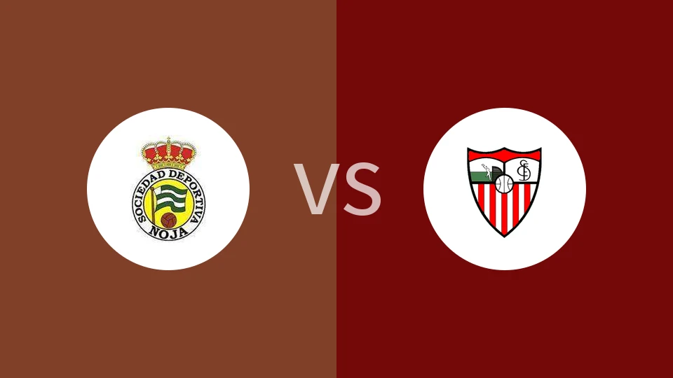 诺加vs塞莱阿比分预测分析 2025/11/23