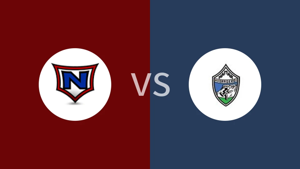 拿尔维克女篮vs哈马尔女篮比分预测分析 2025/11/05