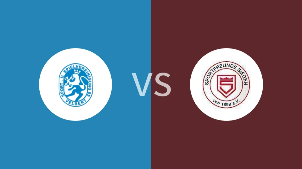 威尔伯特vs希根比分预测分析 2025/11/29