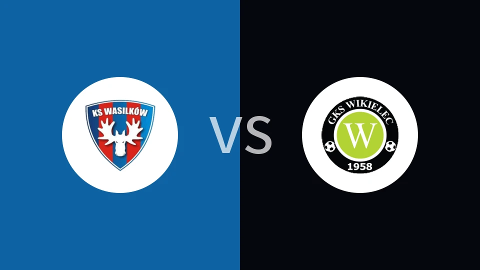 瓦西里科夫vs维基勒比分预测分析 2025/11/29