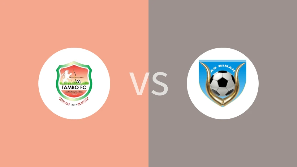 坦博FCvs比纳比分预测分析 2025/05/18