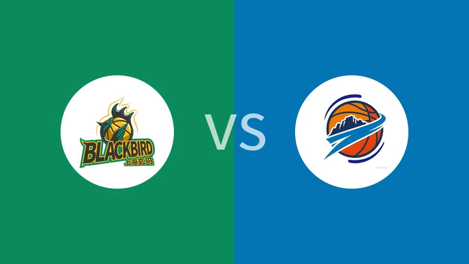 上海玄鸟vs焦作文旅回放录像 2025/12/30