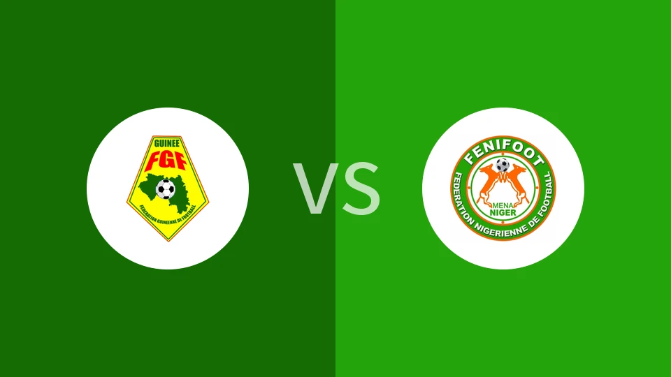【国际友谊】几内亚vs尼日尔