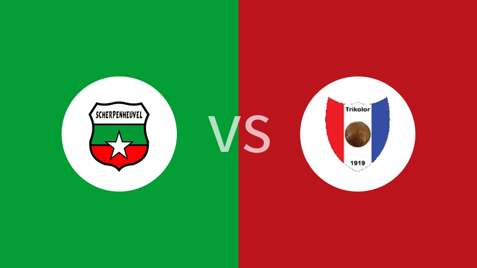 斯海彭赫弗尔vs容霍兰德比分预测分析 2026/01/11