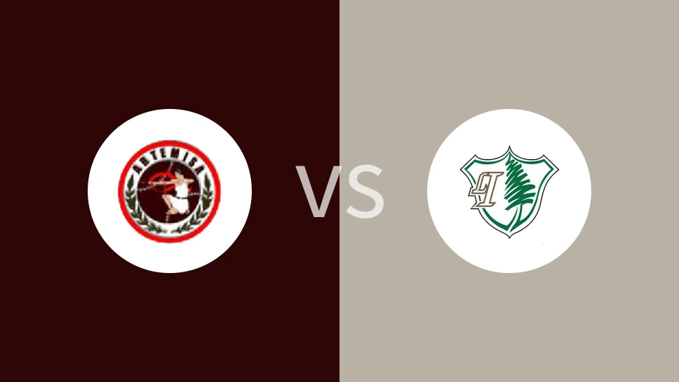 阿尔特米萨FCvs青年岛