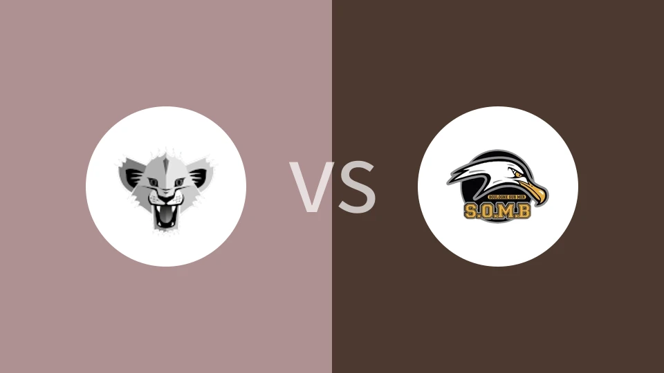 【法篮丙】里昂索vsSOM布洛涅