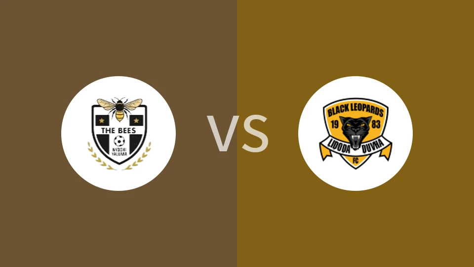 【南非甲】比斯足球俱乐部vs利奥帕德