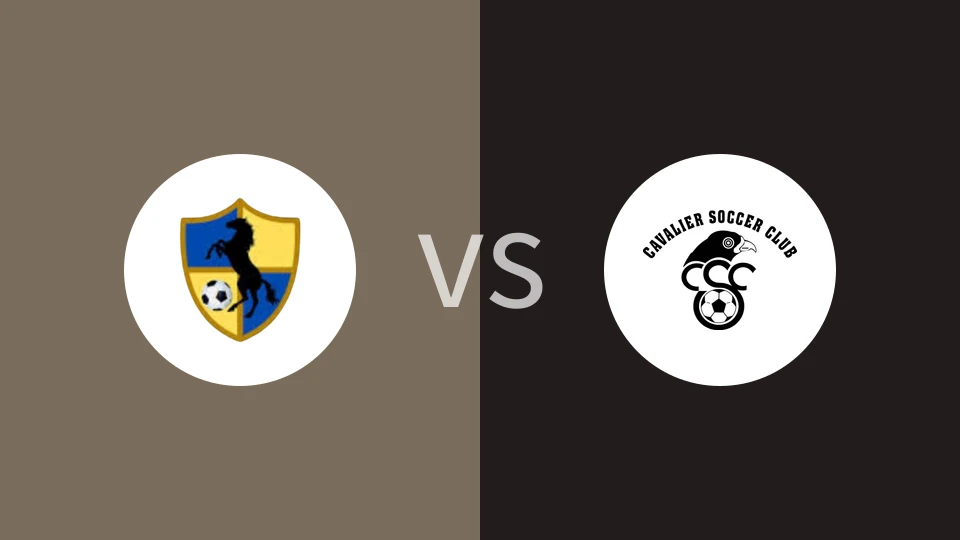 竞技联队vs金斯敦骑兵比分预测分析 2024/11/21