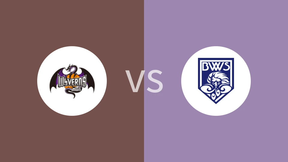 山形飞龙vs福井吹风比分预测分析 2025/11/15