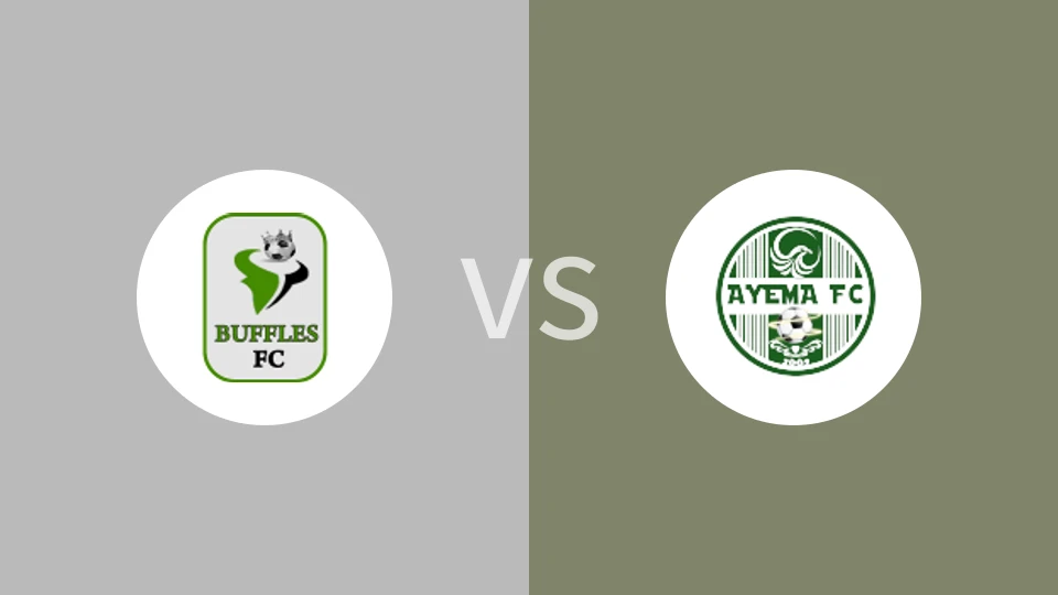 【贝宁甲】博尔古水牛vs艾亚马