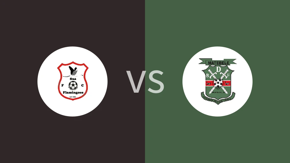 【博茨超】苏阿火烈鸟vs博茨瓦纳国防