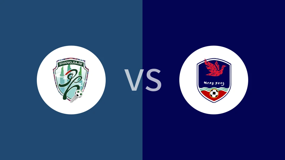 张家界队vs衡阳队回放录像 2025/11/02