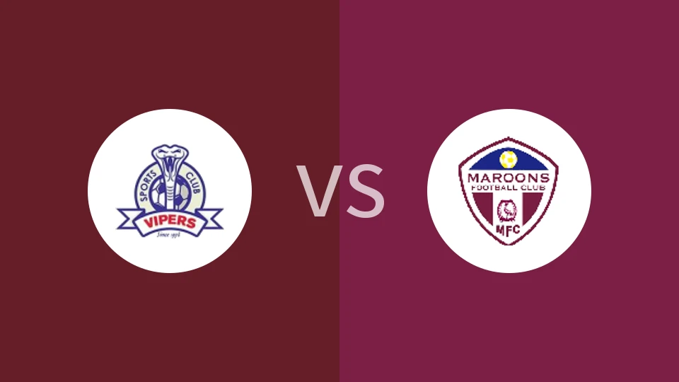 毒蛇vs马鲁比分预测分析 2025/11/23