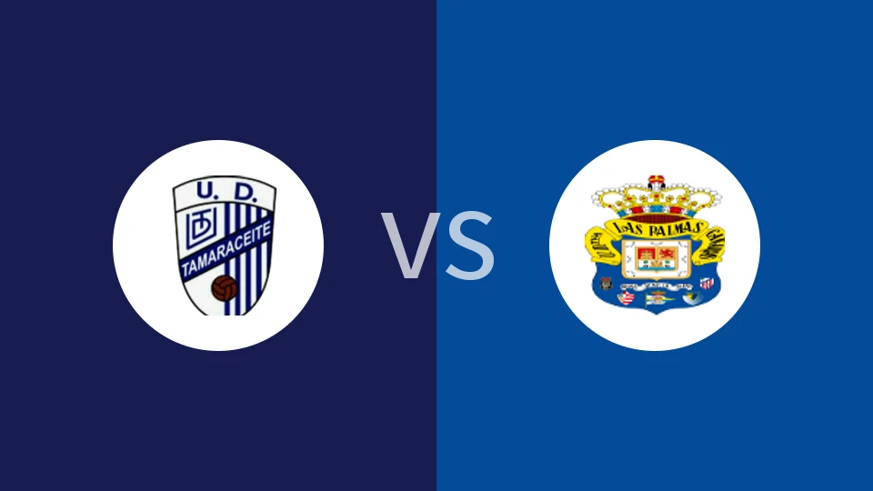 塔玛拉赛特vs拉斯帕尔马斯C队比分预测分析 2025/12/06