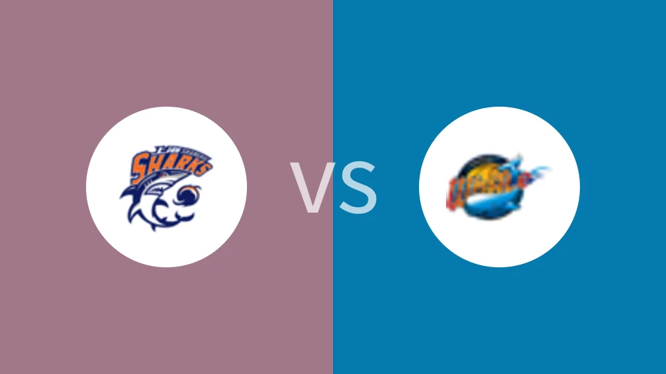 上海久事vs四川丰谷酒业比分预测分析 2024/12/08