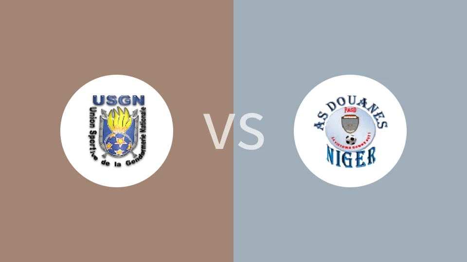 【尼日尔杯】USGNvs尼日尔海关