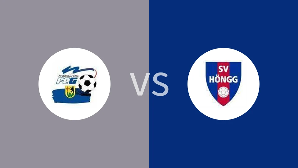 戈绍VS洪格比分预测 2023/08/23
