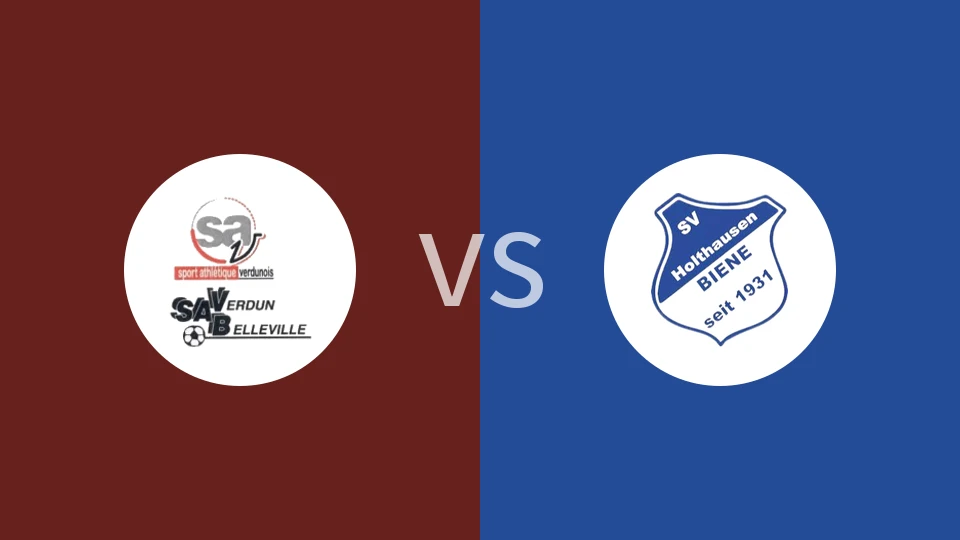 维丹vs霍尔特豪森蜜蜂比分预测分析 2025/11/23