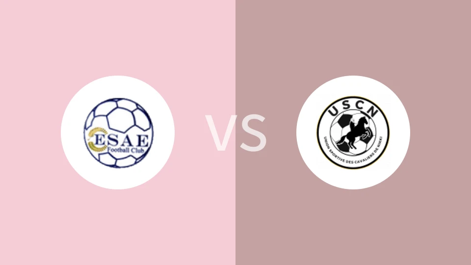 罗托FCvs贝宁骑士比分预测分析 2024/10/16