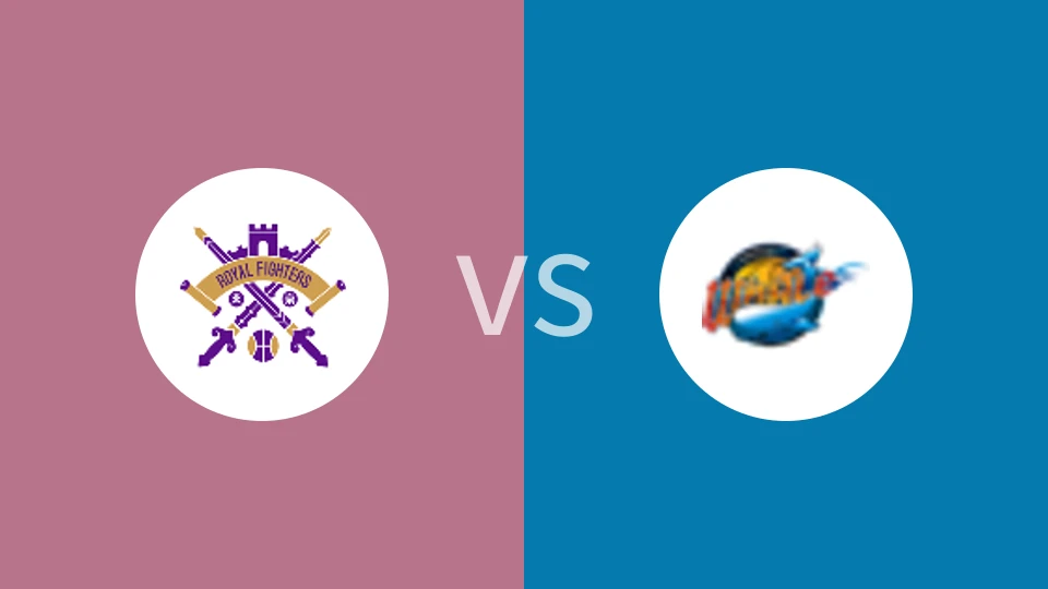 北京控股vs四川丰谷酒业比分预测分析 2024/12/03