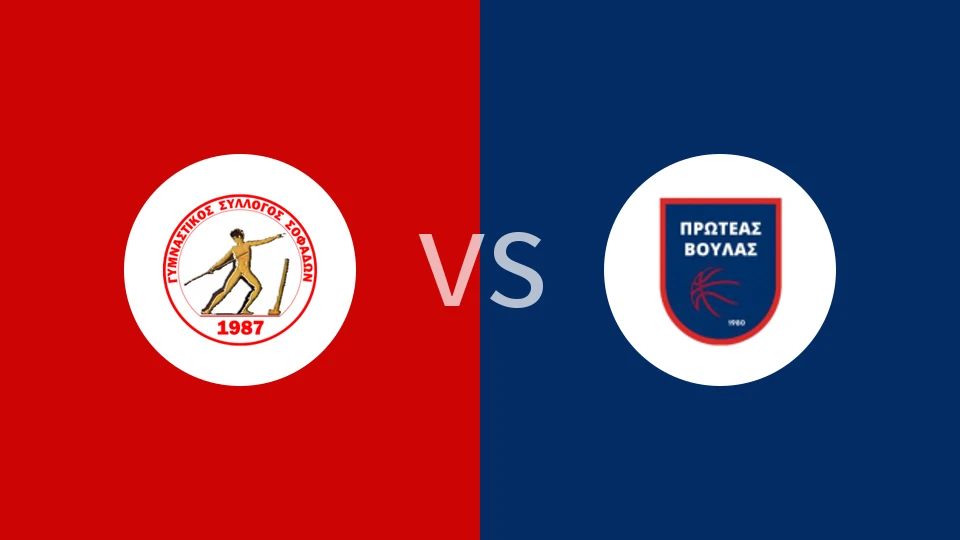 索菲特vs维拉斯PV比分预测分析 2025/11/29