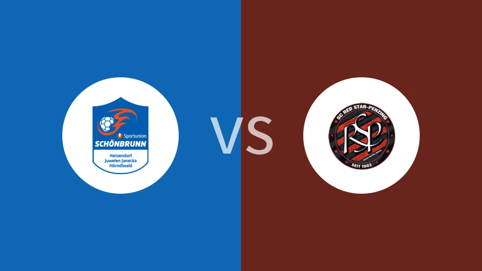 【奥业余杯】美泉宫体育vs红星佩辛