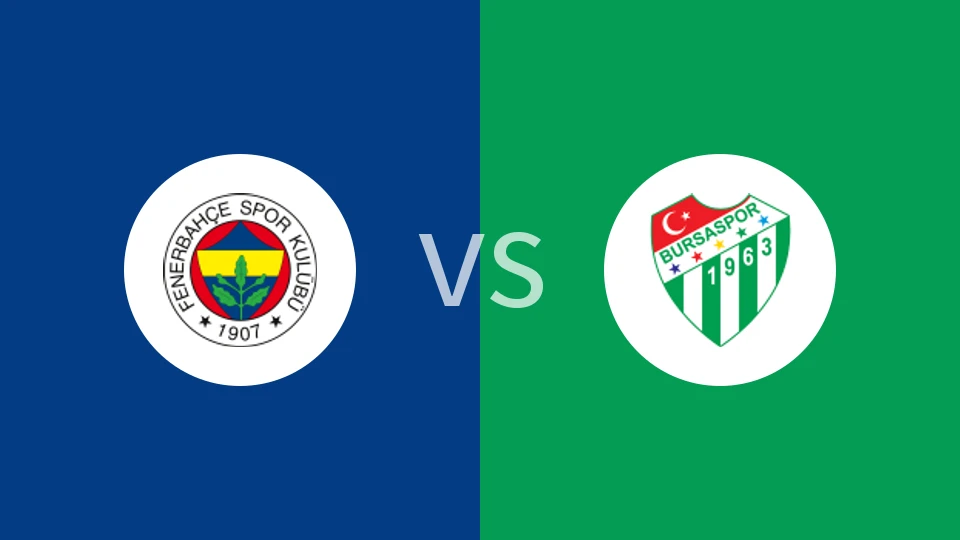 费内巴切vs布尔萨体育比分预测分析 2025/11/24