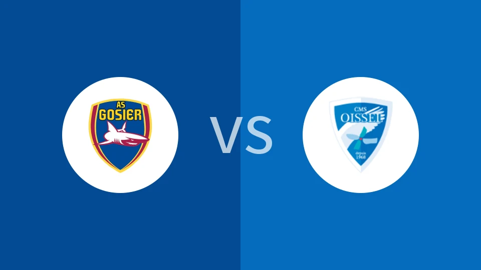 戈西耶vs瓦塞勒比分预测分析 2025/11/29