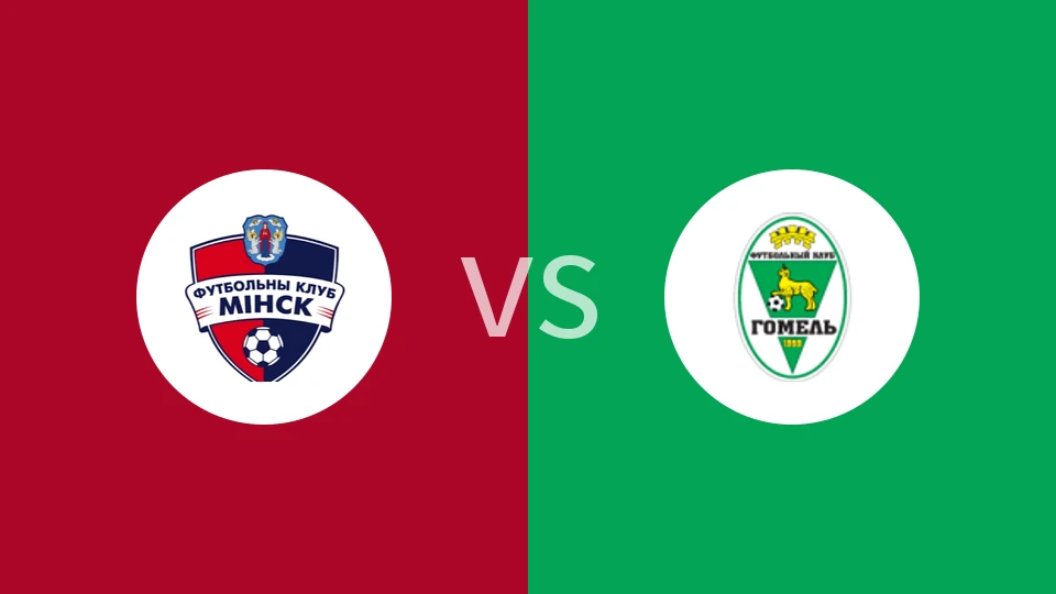 明斯克B队vs高美尔B队比分预测分析 2025/11/15