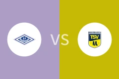 巴姆堡格vsTSV梅尔布施比分预测分析 2025/11/02