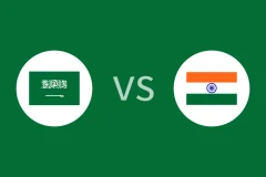 沙特vs印度回放录像 2025/11/28