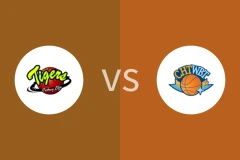 国泰人寿女篮vs中华电信女篮比分预测分析 2026/01/02