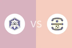 莱尔vs卡亚士维斯比分预测分析 2025/07/19