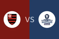 弗拉门戈vs里奥卡拉罗比分预测分析 2025/11/23