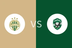 费伦茨瓦罗斯vs卢多格雷茨回放录像 2025/11/07